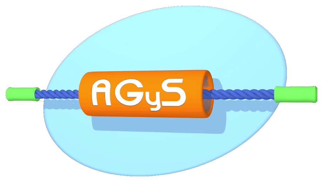 AGyS